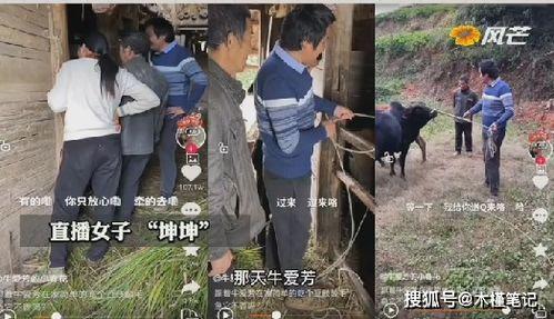 牛爱芳同村人爆料原视频,揭秘原视频背后的惊人真相 第2张 牛爱芳同村人爆料原视频,揭秘原视频背后的惊人真相 第2张